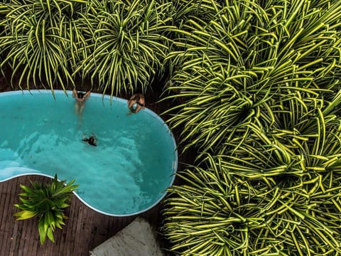 Garden view, Pool view