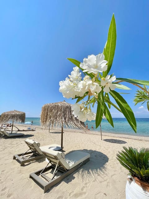 Byblos Mare-The Exclusive Beach Front Villa Villa in Thasos