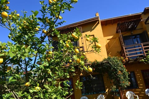 Yataí Casas House in Entre Ríos Province, Argentina