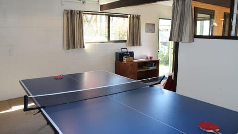 Game Room, Table tennis, Area and facilities