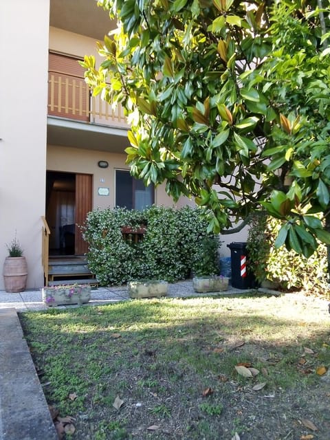 Property building, Spring, Day, Garden, Garden view