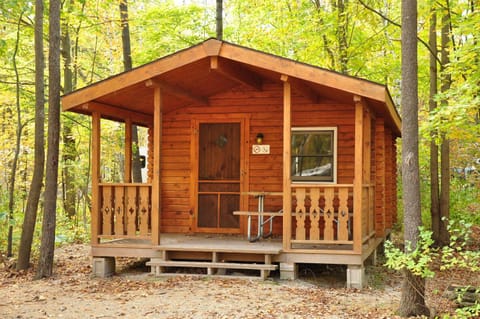 Tranquil Timbers Cabin 11 Camping /
Complejo de autocaravanas in Sturgeon Bay