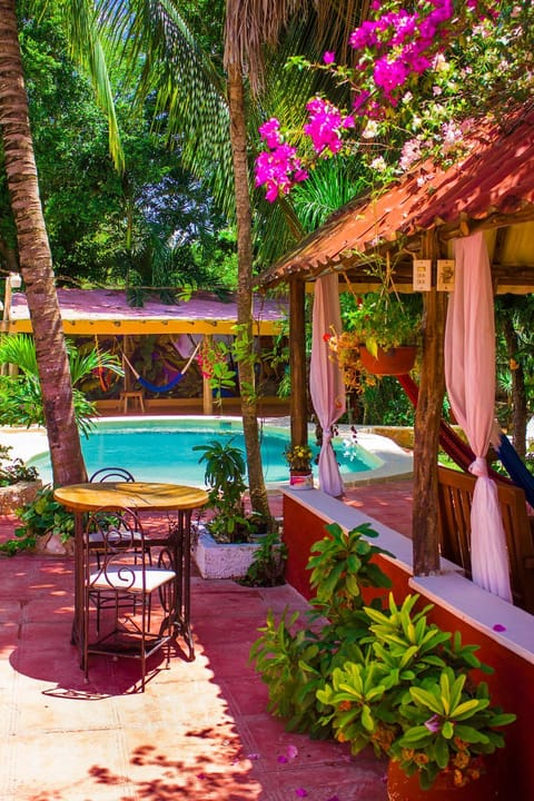 Garden, Pool view, Swimming pool