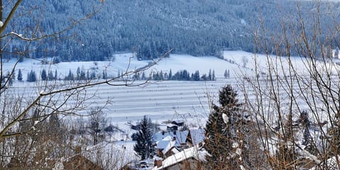 Neighbourhood, Activities, Winter