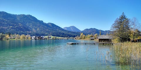 Natural landscape, Activities, Beach
