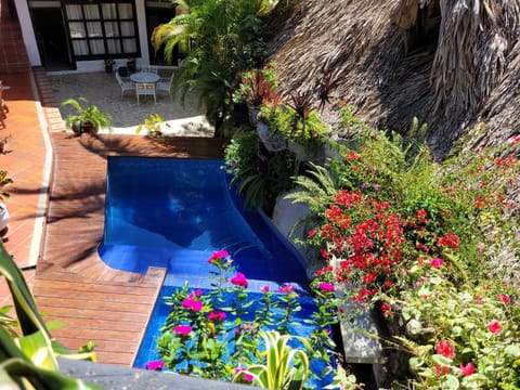 Garden view, Pool view