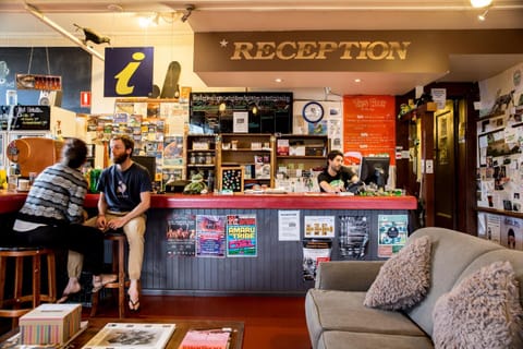 The Pickled Frog Hostel in Hobart