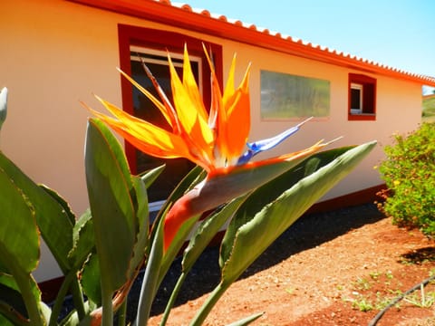 Au petit Madère House in Madeira District