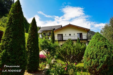 Pensiunea La Mamaie Bed and Breakfast in Brașov County