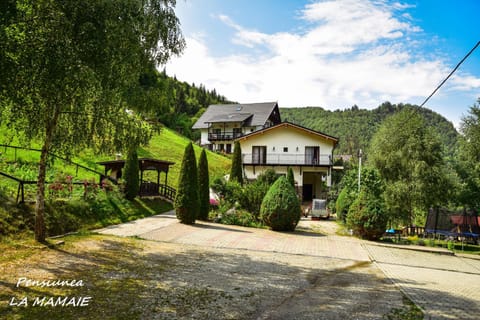 Pensiunea La Mamaie Bed and Breakfast in Brașov County