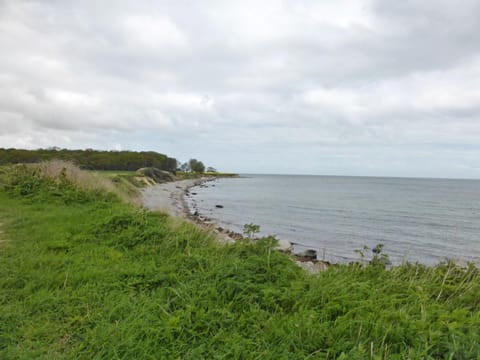 Summer, Beach