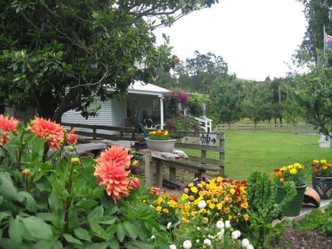 Miranda Orchard Cottage Country House in Waikato