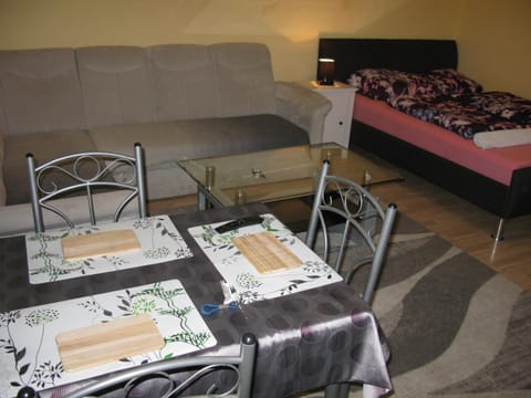 Comfortable Homly Apartment Condo in Offenbach