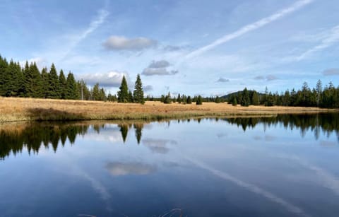 Nearby landmark, Natural landscape