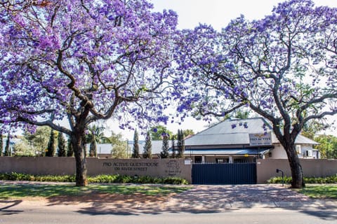 Pro Active Guest House Bed and Breakfast in Pretoria