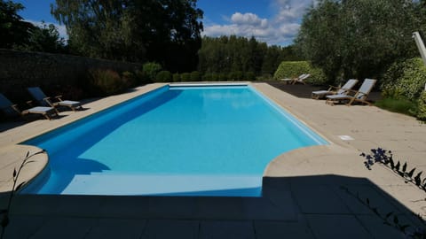 Day, Activities, Summer, Swimming pool, sunbed