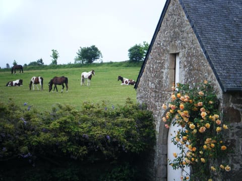 Spring, View (from property/room), Animals, On site