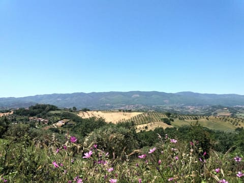 Natural landscape, Breakfast