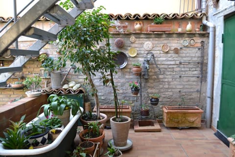 Patio, Garden