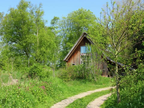 Fairytale cottage nestled between forest House in Bergen aan Zee