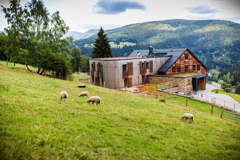 Property building, Facade/entrance, Animals