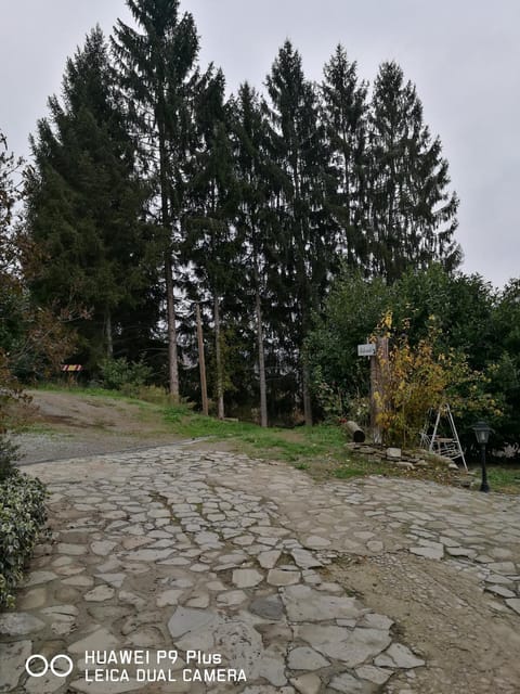 Agriturismo Davide Farm Stay in Liguria