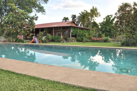 Garden, Swimming pool