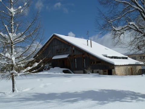 Property building, Winter