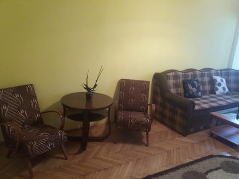 Apartament Viorea Wohnung in Brasov