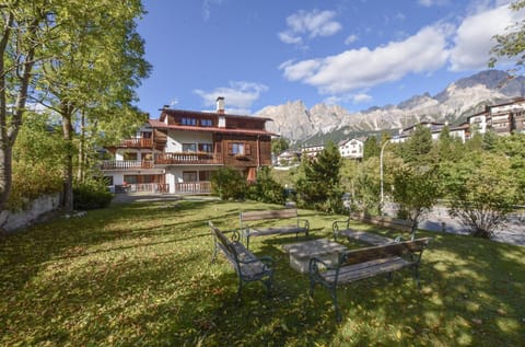 Patio, Garden, Garden view