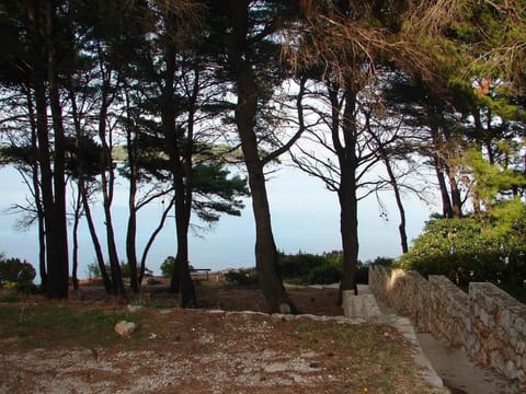 Beach, Sea view