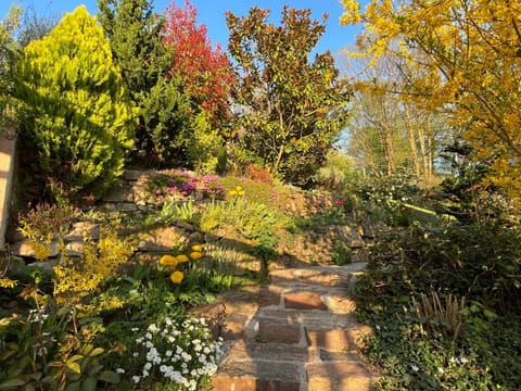 Spring, Garden, Garden view