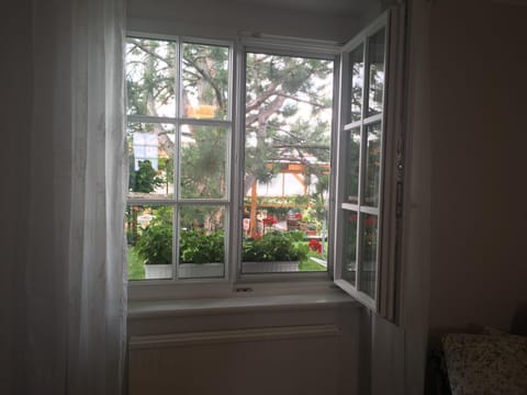 Garden view, Inner courtyard view