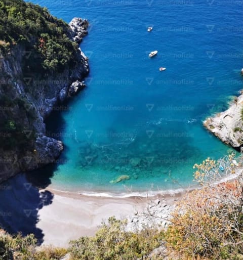 Beach, Sea view