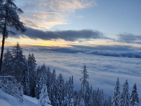 Gerlitzenzeit Apartment in Carinthia, Austria