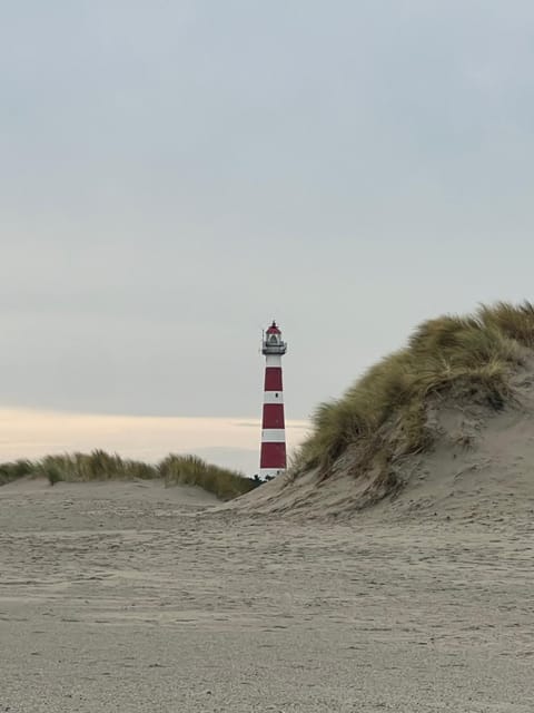 Natural landscape, Beach