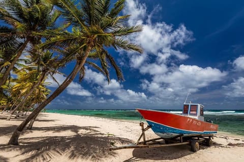 Joli bungalow avec jacuzzi chez Roberto Country House in Grande-Terre, Guadeloupe