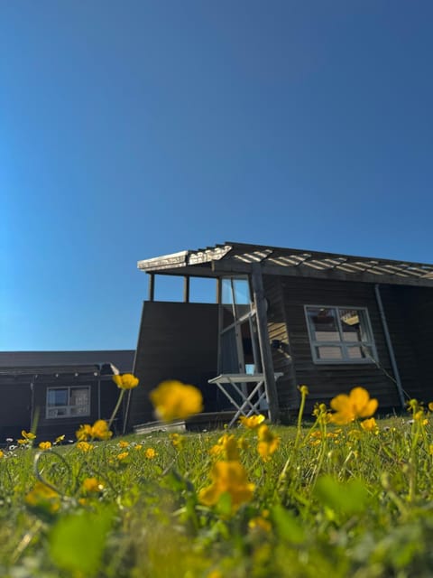 Dancamps Trelde Naes Campground/
RV Resort in Region of Southern Denmark