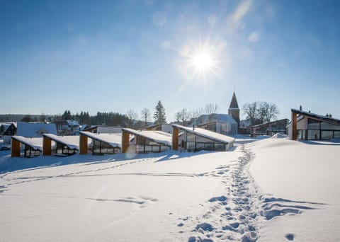 Winter, Skiing, Skiing