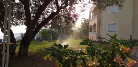 Property building, Garden