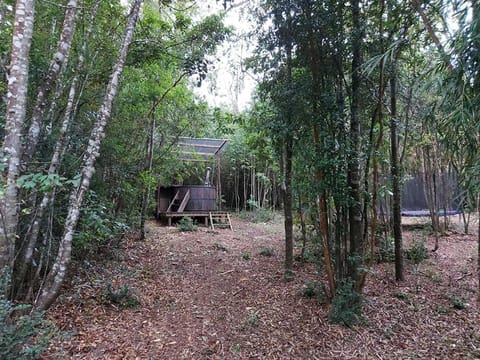 Cabañas Raices del Puma House in Los Ríos, Chile