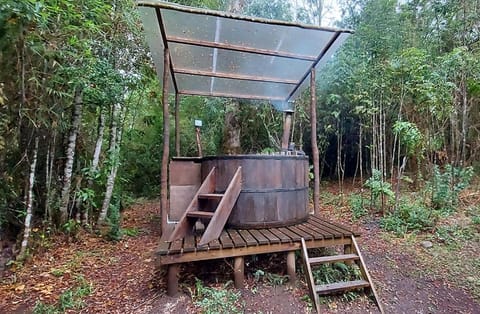 Cabañas Raices del Puma House in Los Ríos, Chile