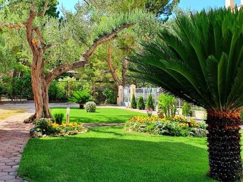 Garden, Garden view