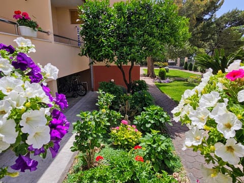 Garden, Garden view