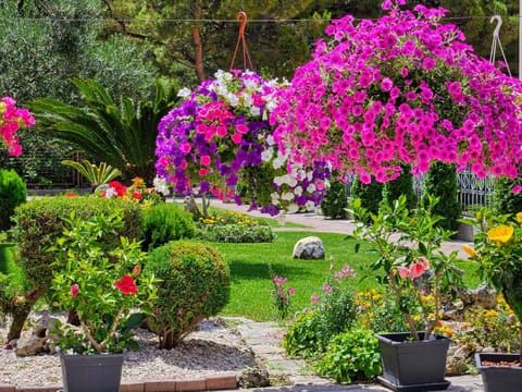 Garden, Garden view