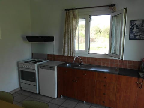 Communal kitchen