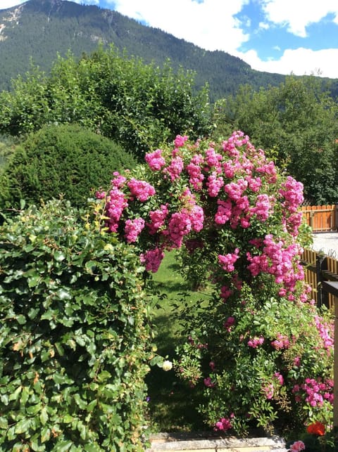 Garden, Garden view