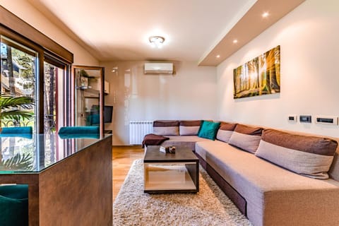 Apartment ERAK RELAX Condominio in Zlatibor