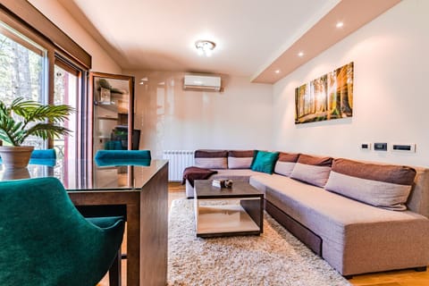 Apartment ERAK RELAX Condo in Zlatibor