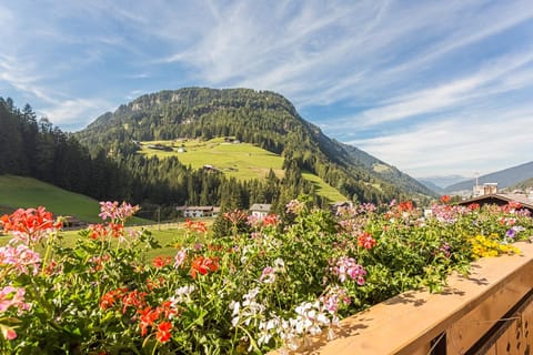 Day, Summer, Balcony/Terrace, On site